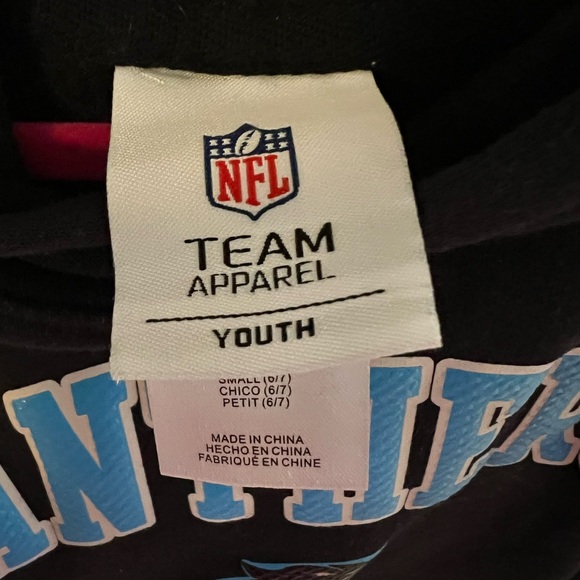 Panthers Black Hoodie - Picture 2 of 3